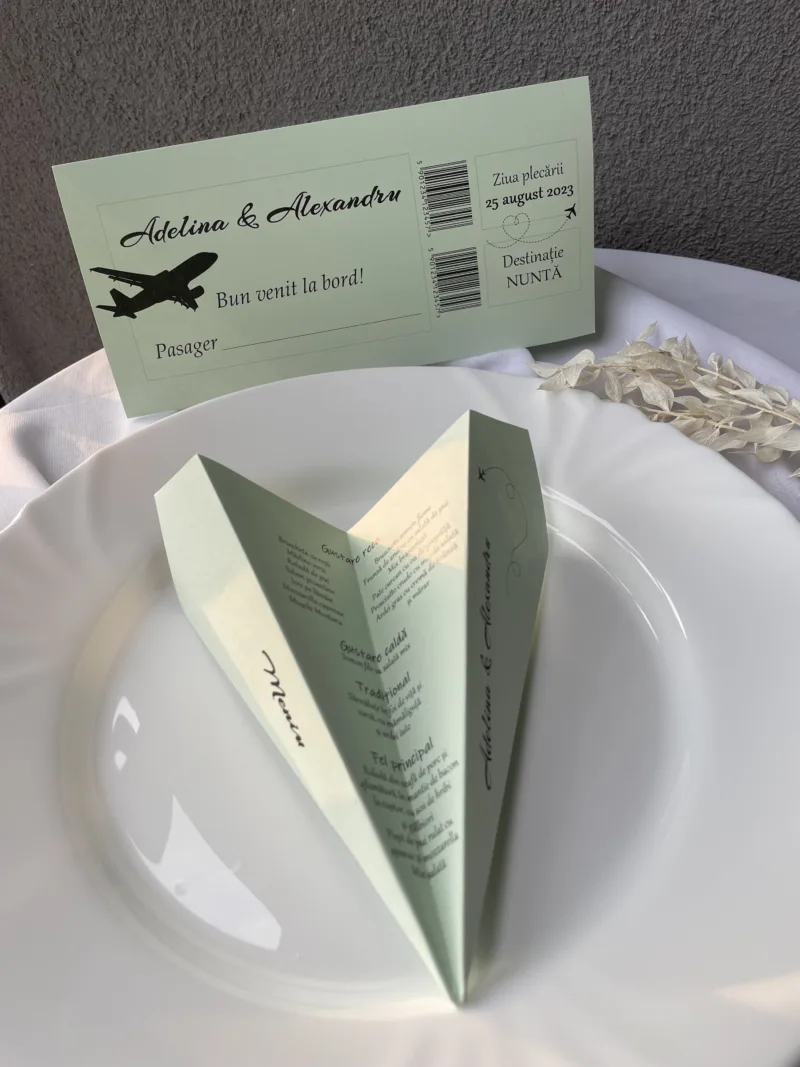 Meniu tip avion - Green - imagine 2