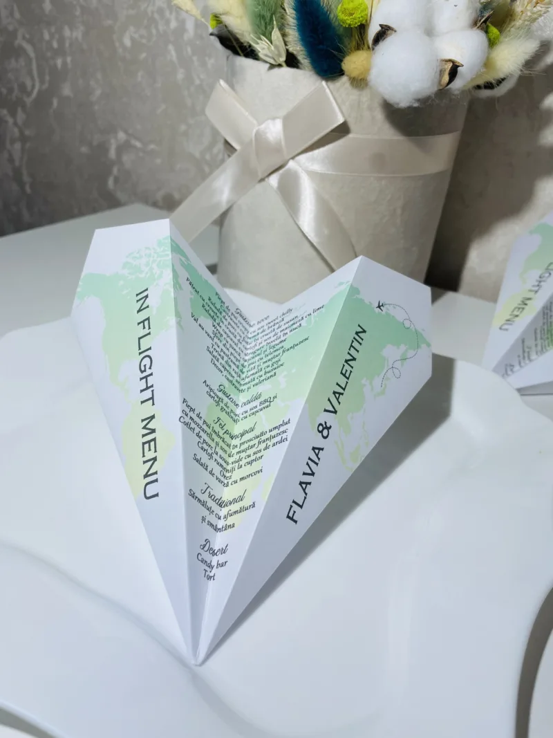 Meniu tip avion - Travel